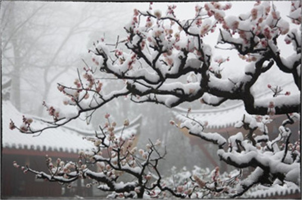 20141202092515_85058